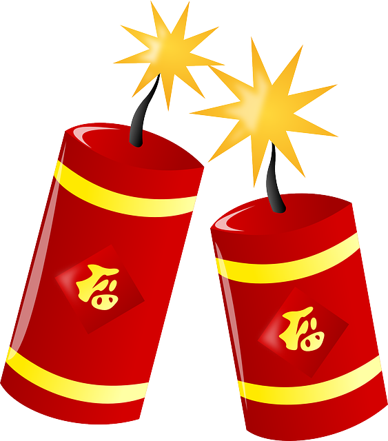 http://www.bolle-herbin.com/mesfichiers/fichiers/firecracker-157886_640.png